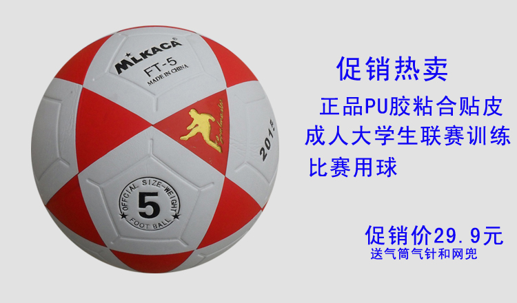 Ballon de volley - Ref 2013349 Image 19