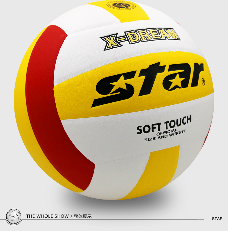 Ballon de volley-ball - Ref 2015696 Image 3