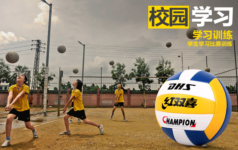 Ballon de volley - Ref 2009014 Image 7