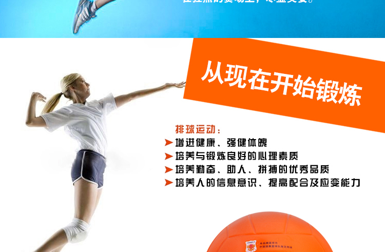 Ballon de volley-ball - Ref 2008879 Image 6