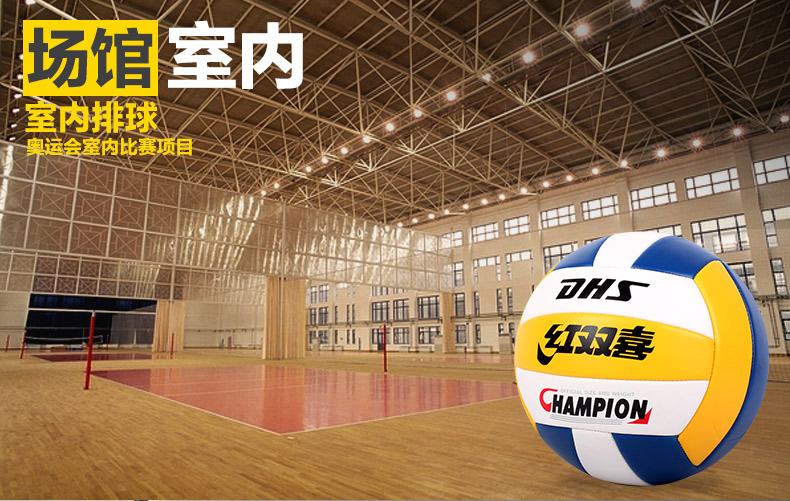 Ballon de volley - Ref 2009014 Image 6