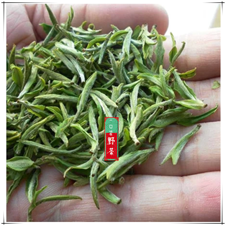 黄山毛峰五溪山绿茶明前毛尖野生茶兰花香高山茶50克2016新茶