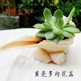 ȻǺݶ⻨ԴҾװζǹƷؼ