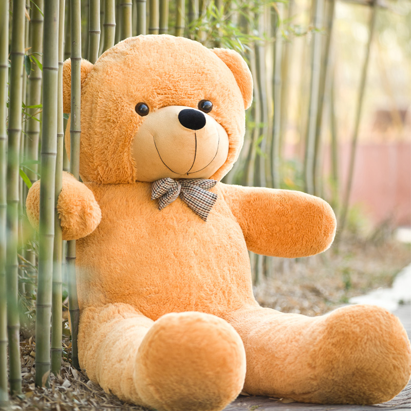 布娃娃可爱超大号毛绒玩具泰迪熊抱抱熊大熊1.6米1.8米熊猫公仔