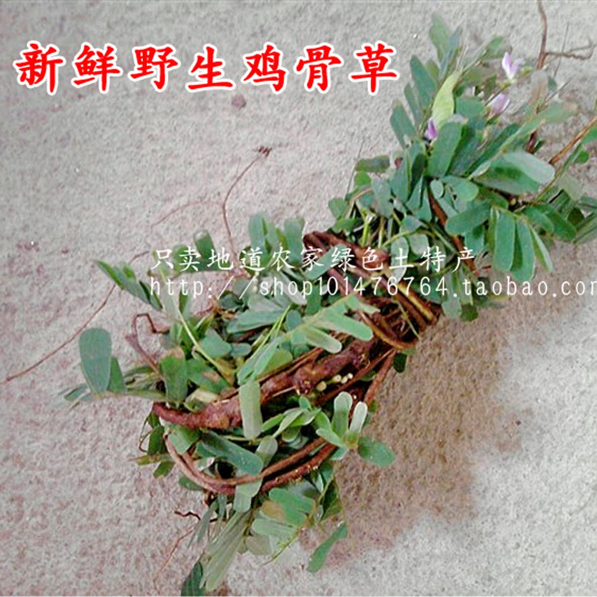 广东丹霞特产新鲜鸡骨草 细叶大黄草 煲汤料3件包邮