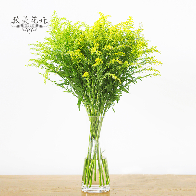 云南基地直销 黄莺花米兰花鲜切花家庭插花婚礼 配草全国鲜花速递