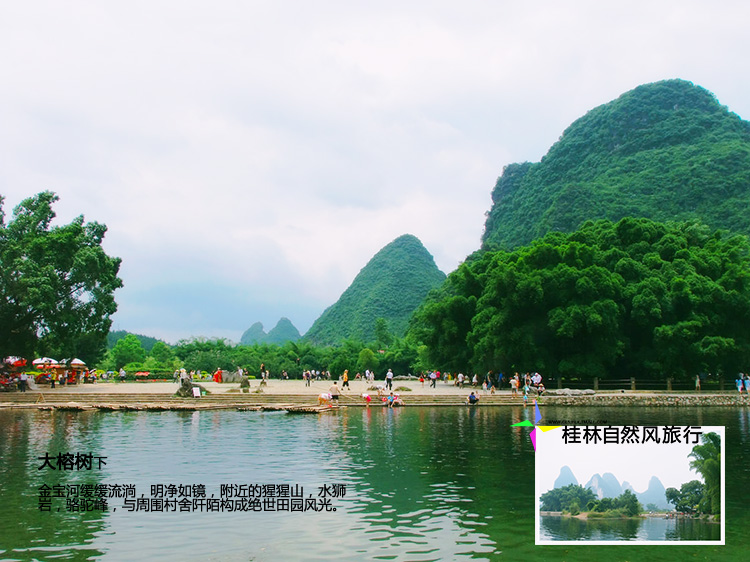 电子票自动发码1小时入园】桂林旅游阳朔十里画廊大榕树景点门票