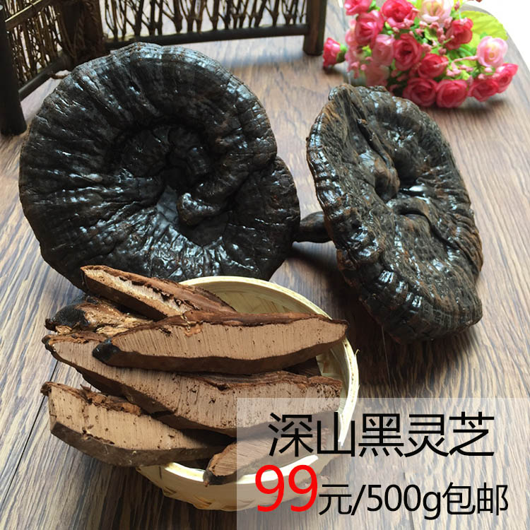 广西深山半野生黑灵芝 林芝表面无破壁孢子粉大个黑灵芝500g包邮