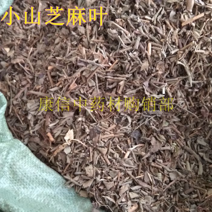 小山芝麻叶 中药材 田油麻 野芝麻 假芝麻 山麻 假油麻 500克