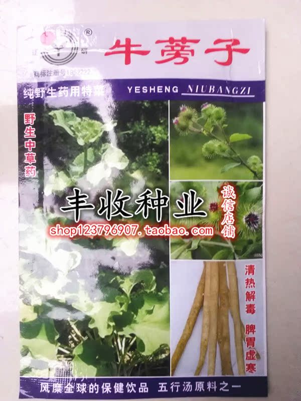 名贵野生中药材牛蒡子种子药用食用清热解毒种子珍贵保健养生种子