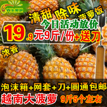 包邮 9斤送刀 新鲜菠萝都乐大菠萝越南手撕菠萝海南水果除味19.9元