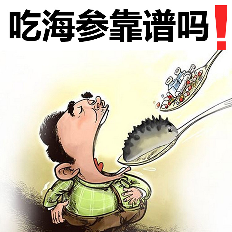 千里岩野生纯淡干海参灰刺参无糖无料非底播辽参非即食海参250克