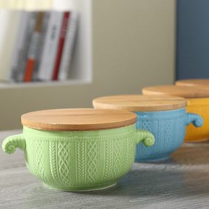 日式陶瓷带盖泡面碗