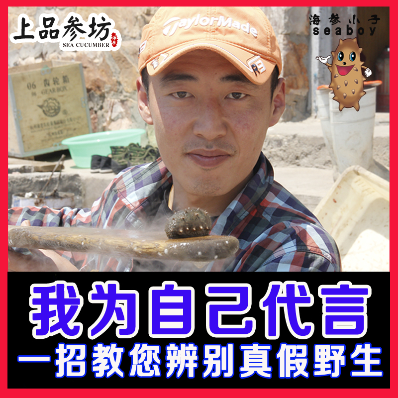 海参小子深水纯野生纯淡干海参干货刺参大连辽参海渗海参礼盒50g