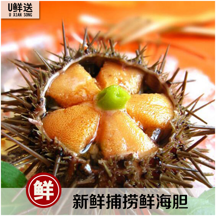 海胆鲜活大连 新鲜黄海胆刺身 活海胆 150g-200g/个 5