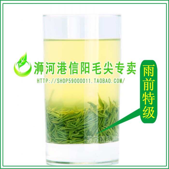 信阳毛尖2016年新茶叶春茶雨前特级250克包邮高山绿茶自产自销