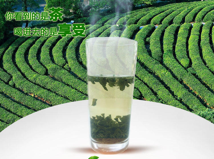 又一春永川秀芽 明前炒青茶春茶100g袋装包邮重庆特产