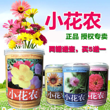 天天特价 小花农罐头花室内植物DIY绿植创意儿童盆栽礼品薰衣