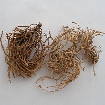 本草铺 白薇 芒草  龙胆白微 中草药 精选地道中药材 50克正品