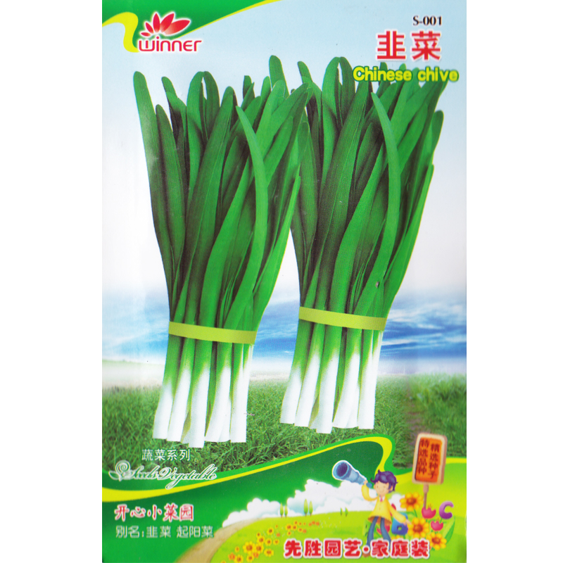 紫色花椰菜种子 花菜菜花 椰菜花西兰花 球花甘蓝菜 蔬菜特菜种子
