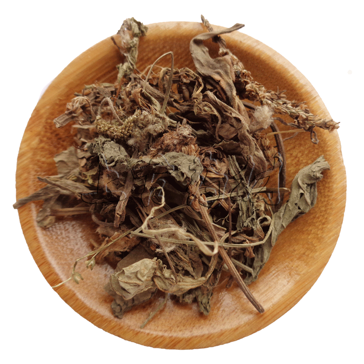 中药材车前草  车前草干 车轮菜 车前草茶野生纯天然500克