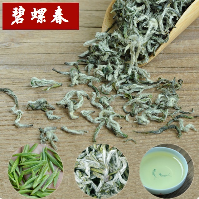 碧螺春2016新茶明前特级早春嫩茶芽 苏州绿茶洞庭山茶叶尝鲜包邮