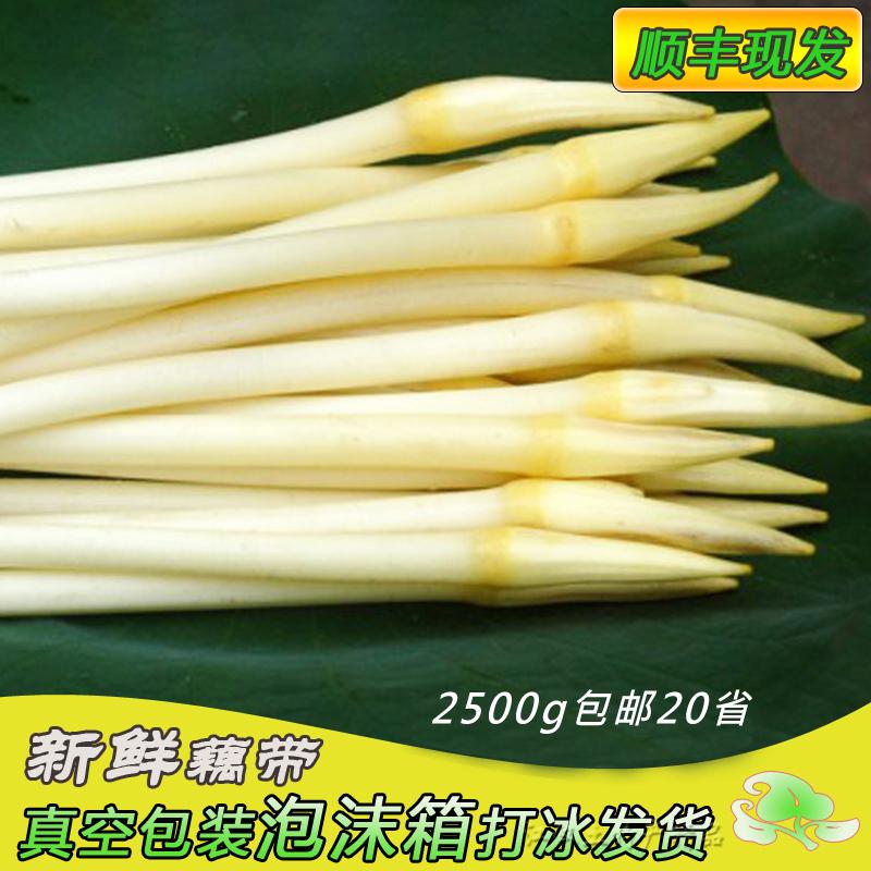 新鲜藕带