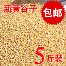 包邮 5斤 虎皮鹦鹉饲料鸟食玄凤谷子牡丹粮食文鸟带壳小米黄雀鸟粮