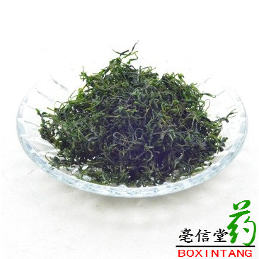 小叶苦丁茶 2015年新茶特级苦丁茶 青山绿水茶叶250克全国包邮