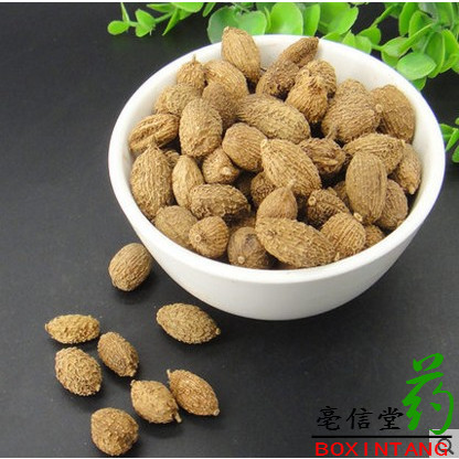 砂仁50g 中药材砂仁 阳春砂仁 特级春砂仁干果正宗砂仁米 砂仁