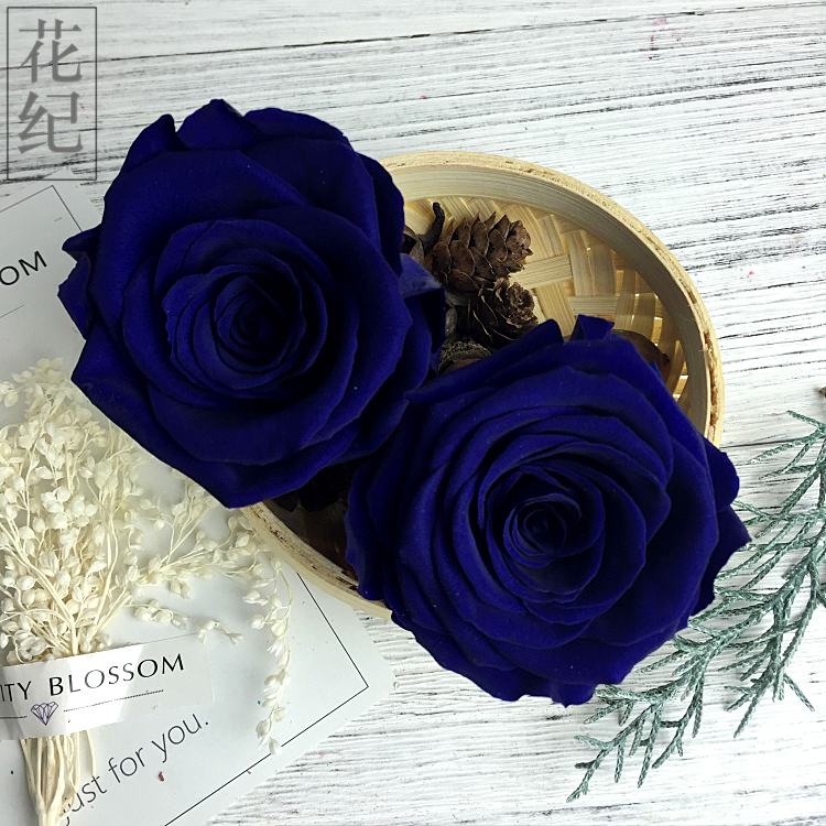 花纪永生花diy车挂玫瑰roseamor厄瓜多尔进口5-6cm宝蓝色blu-03