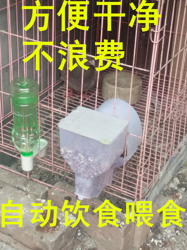 鸽子鹦鹉自动饮水器 水壶米壶下料器喂食器鸟类食槽信鸽用品鸽具