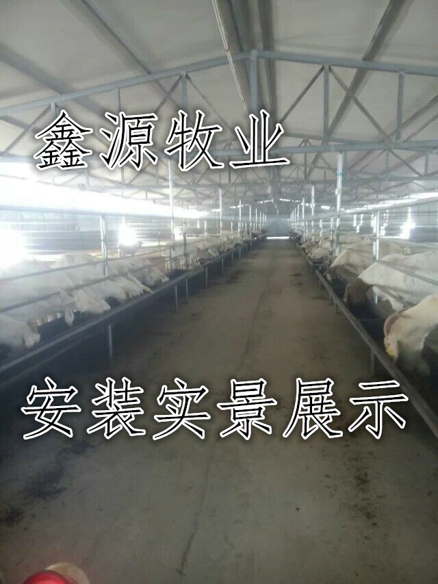 ţˮţʳϲϲˮ