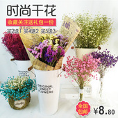 包邮 饰插花水晶草勿忘我干花花束薰衣草 天然满天星干花真花客厅装