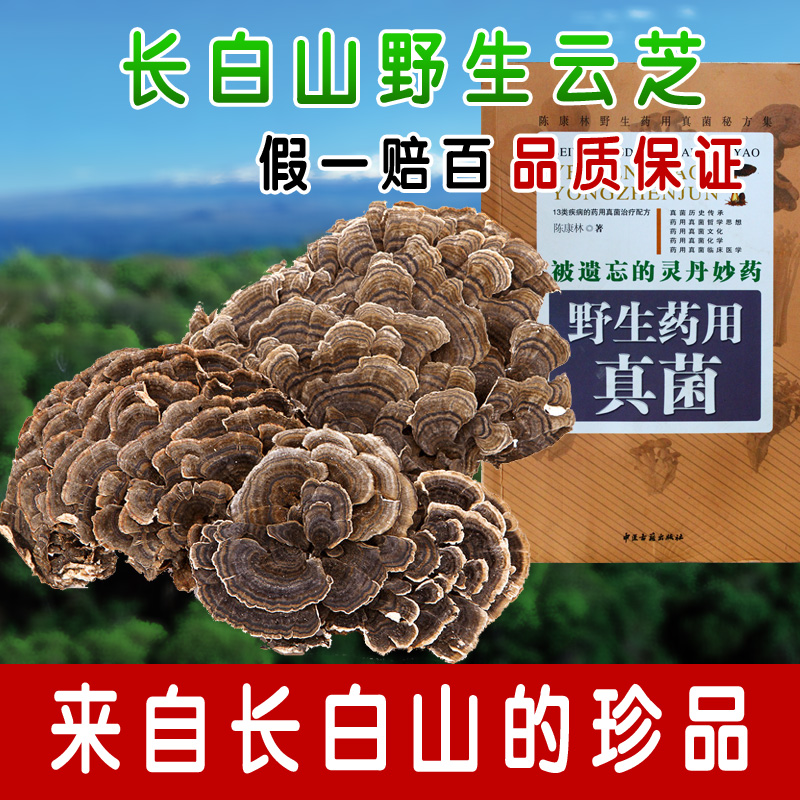 长白山野生云芝 整枝灵芝 正品保证 林芝  5件包邮