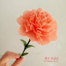 控塑 25朵 材料包 皱纹纸手工材料纸 梨子纸藤