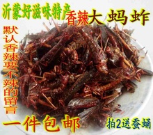 美食沂蒙特产美食油炸香辣蚂蚱昆虫飞蝗虫蚱蜢拍2送蚕蛹 舌尖上