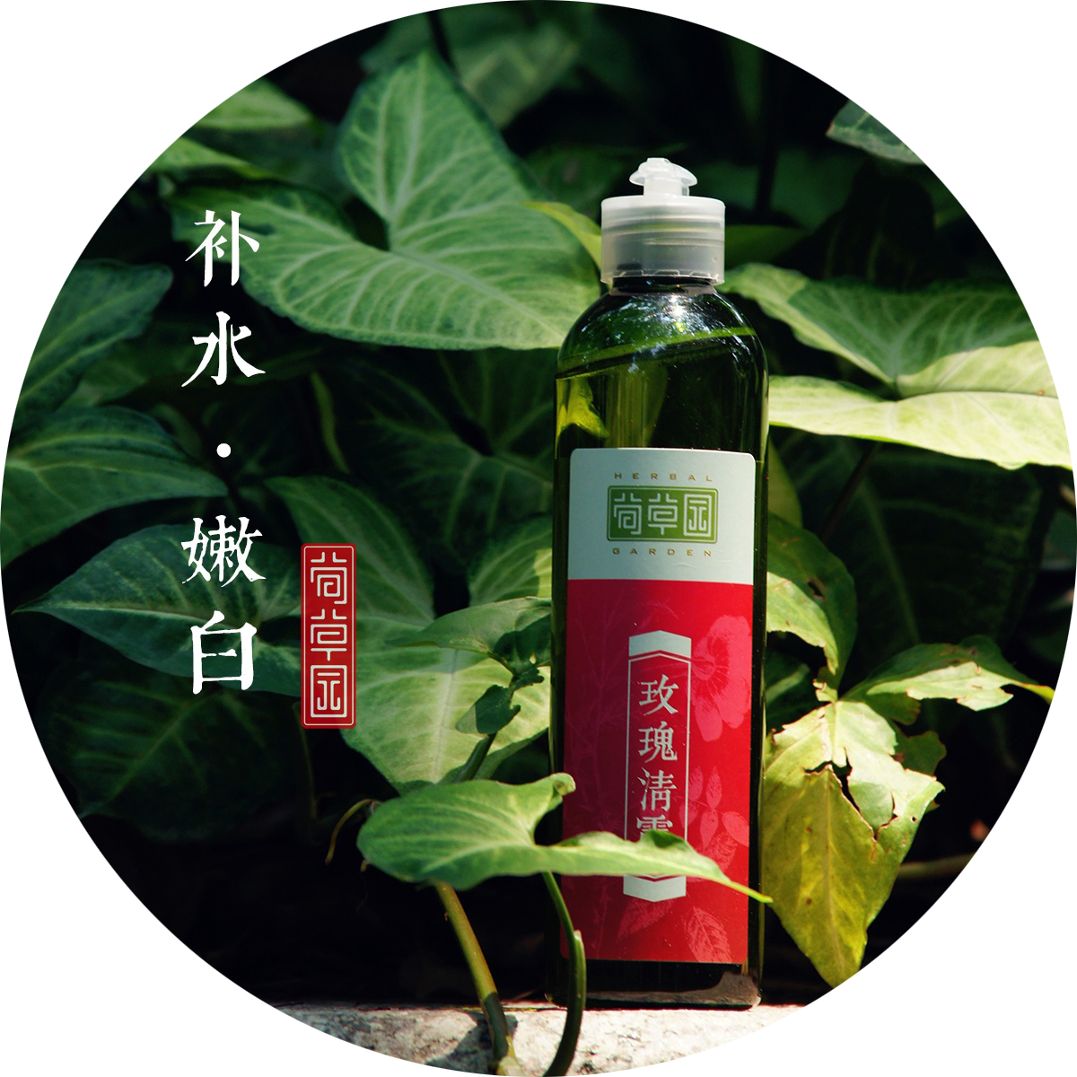 玫瑰清露250ml植物柔肤水女士补水保湿水提亮肤色水嫩滋润 荀草园