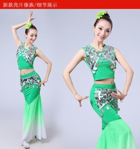 傣族舞蹈演出服装表演服饰云南孔雀舞少数民族