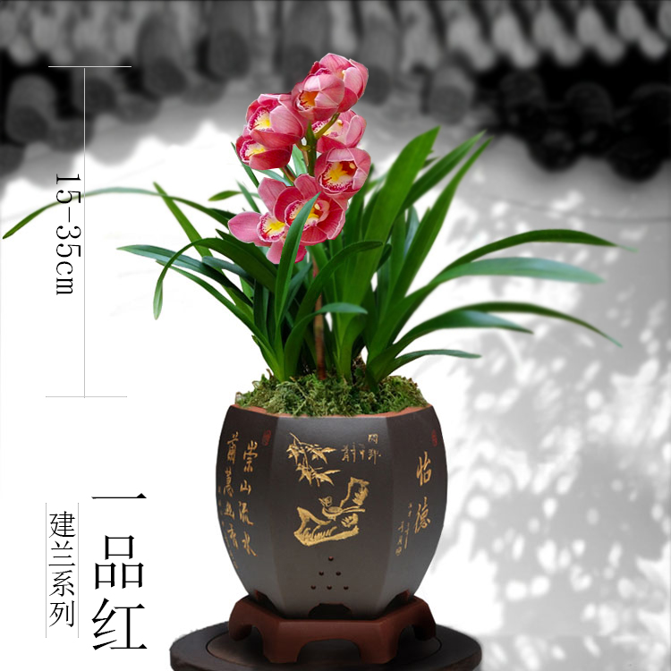 Ũ罨ļ ״ԪԻܹ