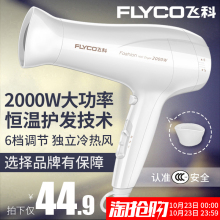 飞科吹风机家用大功率电吹风发廊学生宿舍冷热风吹风筒静音电风吹