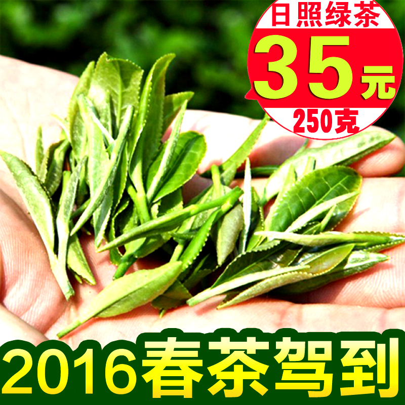 日照绿茶2016新茶茶叶山东高山有机特级炒青春茶雪青新茶散装250g