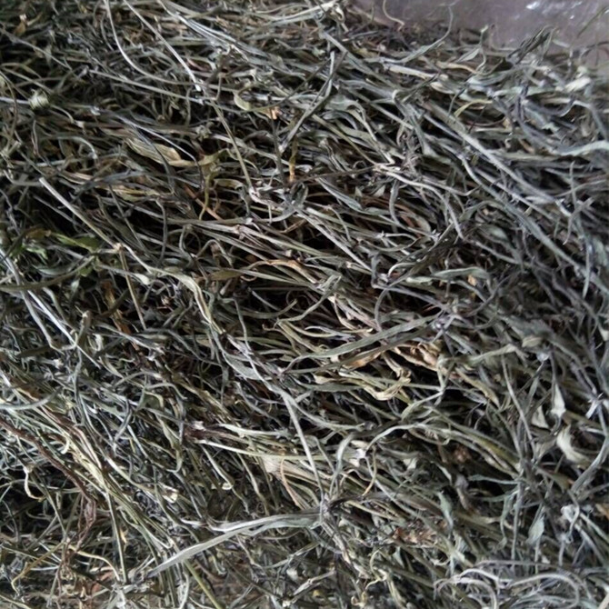 乐昌深山野生白花蛇舌草蛇针草蛇舌癀干货500g包邮