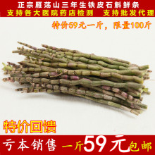三年生石斛仿野生霍山新鲜铁皮枫斗 乐清雁荡山铁皮石斛鲜条500g