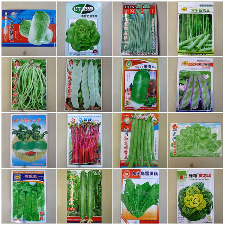 四季蔬菜种子大白菜辣椒付子瓜南瓜苤兰茄子甘蔗西瓜大葱包出苗