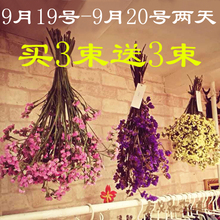 饰情人草薰衣草 干花花束鲜花批发云南勿忘我真花插花满天星客厅装