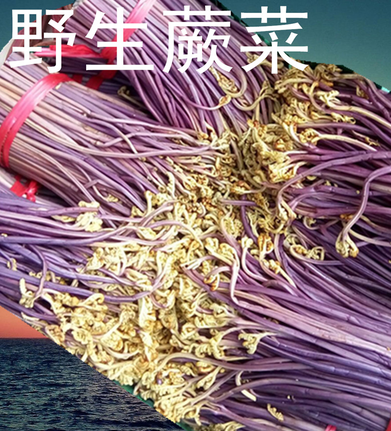 1斤包邮野生蕨菜干(嫩尖)牛毛广/蕨菜/猴腿石锅拌饭必备250克