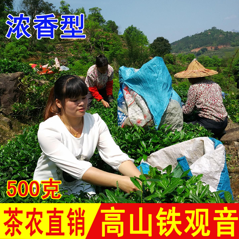 安溪铁观音茶叶正品特级浓香型2016新茶铁观音秋茶兰花香特价包邮