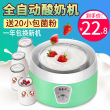 366自制酸奶机家用全自动断电迷你玻璃分杯不锈钢内胆 熊老大