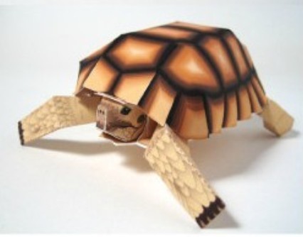 乌龟纸模型 简易儿童折纸 海龟海洋爬行动物 3d手工diy纸模型